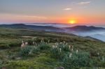 Spectacular Sunset At The End Of Summe Stock Photo