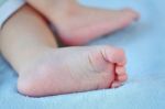 Baby Feet Stock Photo