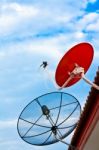 Satellite Dish On The Roof Stock Photo