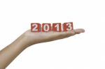 2013 On Palm Stock Photo