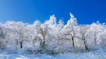 Deogyusan Mountains Is Covered By Snow In Winter,south Korea Stock Photo