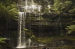 Russell Falls In Mount Field National Park Stock Photo