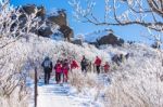 Deogyusan,korea - January 23: Tourists Taking Photos Of The Beautiful Scenery Around Deogyusan,south Korea On January 23, 2015 Stock Photo