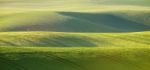 Abstract Pattern Texture Of Rolling Wavy Fields In Spring. Sprin Stock Photo