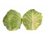 Baby Cabbages Stock Photo