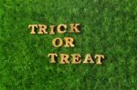 Wooden Trick Or Treat Words On Grass Background Stock Photo