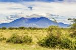 Old Volcano Mountain As Seen From The Road In Nicaragua Stock Photo