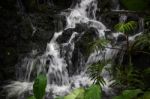 Singapore Waterfall Stock Photo