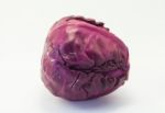 Violet Cabbage  On Wihte Background Stock Photo