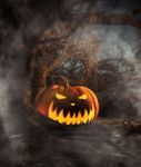 Halloween Pumpkin In Creepy Forest At Night,3d Illustration Stock Photo