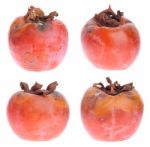 Rotten Persimmons Stock Photo