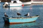 Anchored Boat With Seagulls Stock Photo