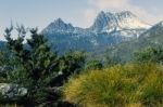 Cradle Mountain In Tasmania Stock Photo