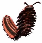 Arthropleura Stock Photo