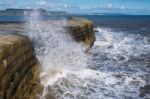 The Cobb Harbour Wall In Lyme Regis Stock Photo