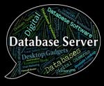 Database Server Shows Word Networking And Databases Stock Photo