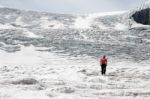 Jasper, Alberta/canada - August 9 : Jaywalking On The Athabasca Stock Photo