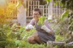 Asian Woman Happiness Emotion Relaxing In Home Gardening Activities Stock Photo