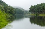 Nature Landscape At Dawn Of Lakes And Pine Forests Stock Photo