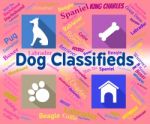 Dog Classifieds Represents Pups And Canines Media Stock Photo