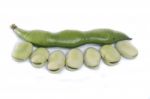 Broad Beans Stock Photo