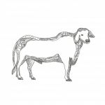 Brahman Bull Side Doodle Side Stock Photo