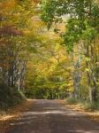 Autumn Bucks County Country Road Stock Photo