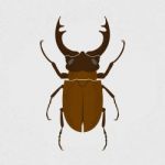 Stag Beetle, The Largest Beetle Stock Photo