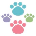 Paw Prints Color On White Background Stock Photo