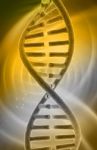 Dna Stock Photo