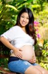 Wonderful Pregnant Woman Stock Photo