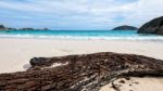 Old Driftwood At The Beach On Island In Thailand Stock Photo