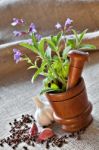 Sage In Wooden Mortar, Garlic, Pepper And Cloves On Sackcloth Stock Photo