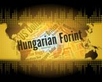 Hungarian Forint Shows Foreign Exchange And Broker Stock Photo