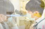 Asia Scientist Working In Biological Laboratory Stock Photo