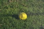 Yellow Golf Ball Stock Photo