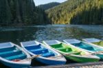 Red Lake, Eastern Carpathians/romania - September 19 : Rowing Bo Stock Photo