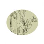 Woodpecker Pecking Tree Drawing Stock Photo