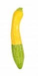 Yellow Zucchini Isolated Stock Photo