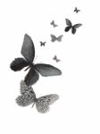 Butterfly Design Stock Photo