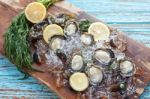 Oyster Seafood Lemon Dill Fresh Mussel Asia Appetizer Luxury Stock Photo