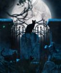 Black Cats In Cemetery,conceptual Background For Halloween Stock Photo