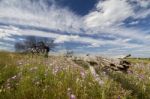 Rural Countryside Stock Photo