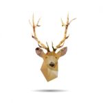 Deer Head Abstract Isolated Stock Photo