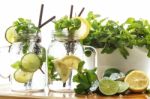 Lime Lemon Soda Mint Rosemary Fresh Drink Summer Refreshment Stock Photo