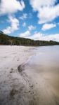 Brown Lake On Stradbroke Island, Queensland Stock Photo