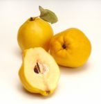 Quince Stock Photo