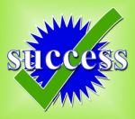 Success Tick Means Succeed Checked And Triumph Stock Photo