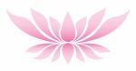 Lotus Flower Stock Photo