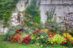 Colorful  Flowers And Leaves In Provence France Stock Photo